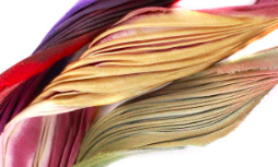 Shibori Ink Silk Scarves & Ribbons